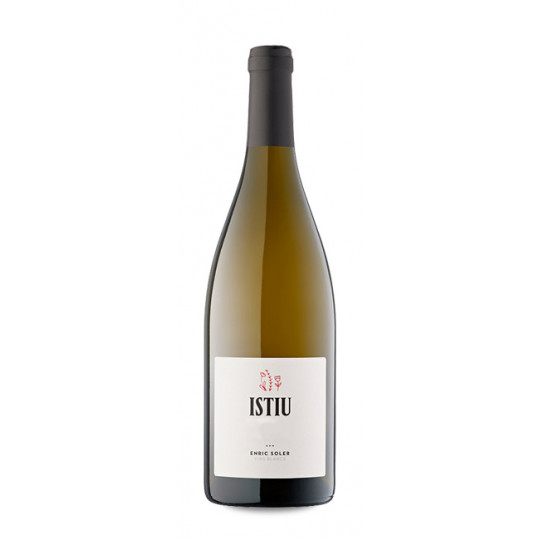 Enric Soler Istiu 2019