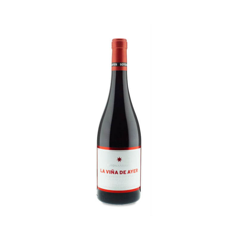 La Viña de Ayer Garnacha 2021