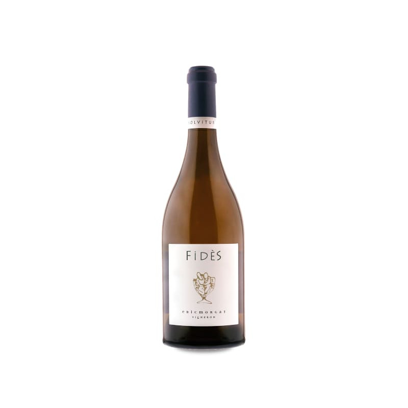 image du vin Morgat Fidès