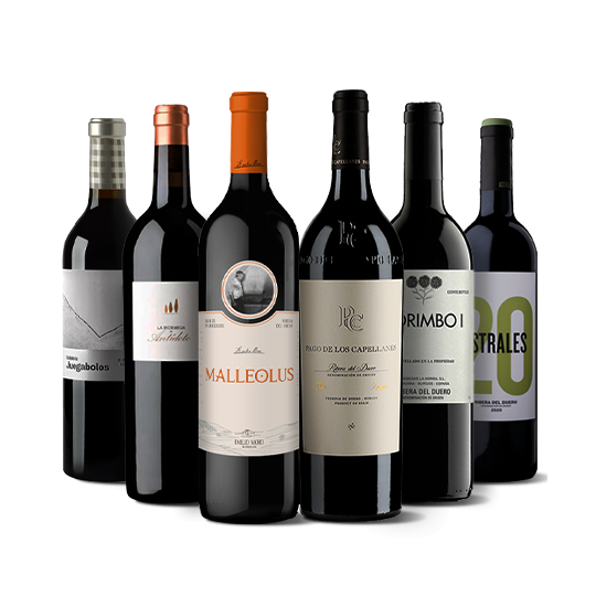 Great Ribera del Duero wines