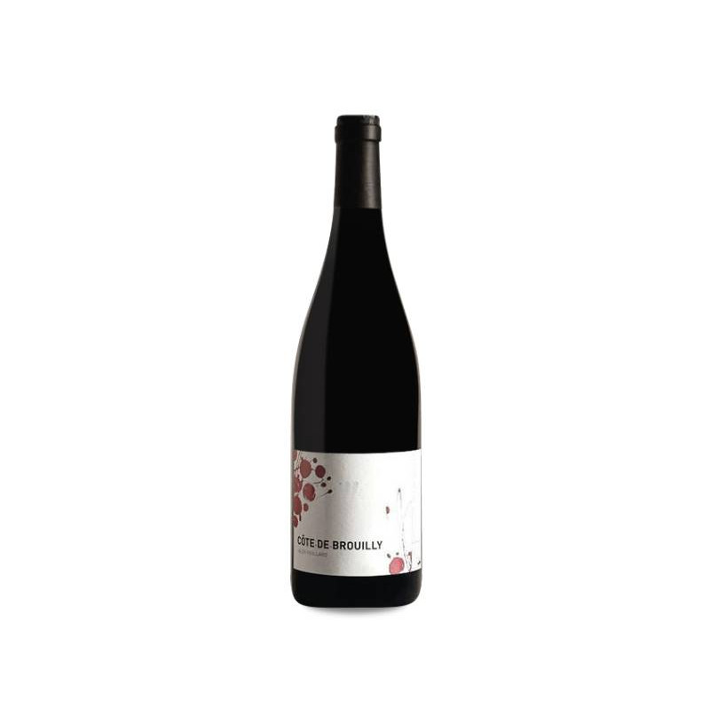 photo Alex Foillard Côte de Brouilly 2021