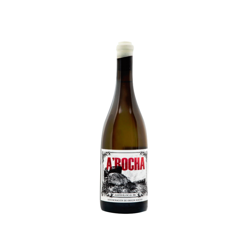 O Morto A Rocha Blanco 2019