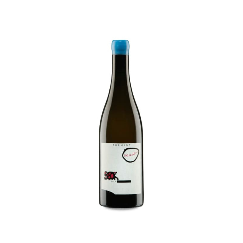 Judith Beck Bambule! Furmint 2023