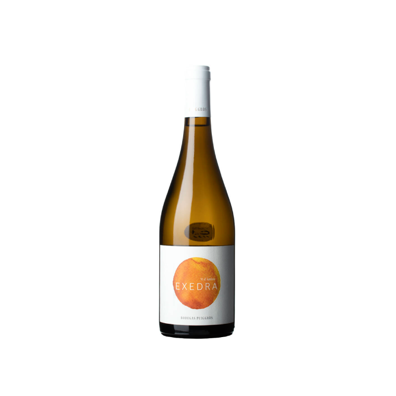 Exedra Amphora Blanc 2023