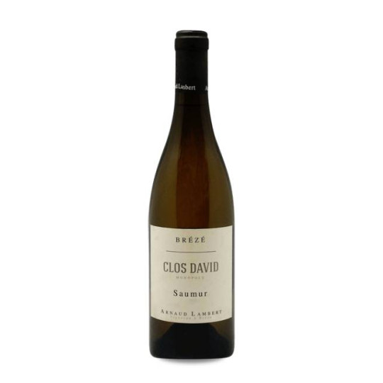 Arnaud Lambert Clos David 2021