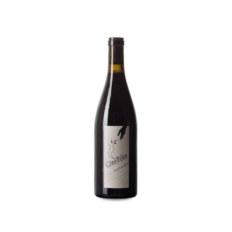 Jean-Yves Péron Côte Pelée 2019