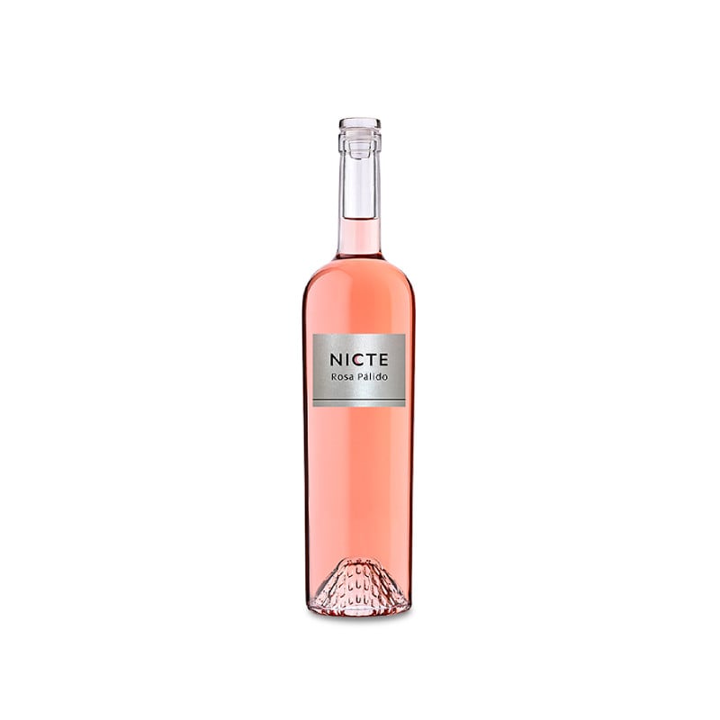 Nicte Rosa Pálido 2024