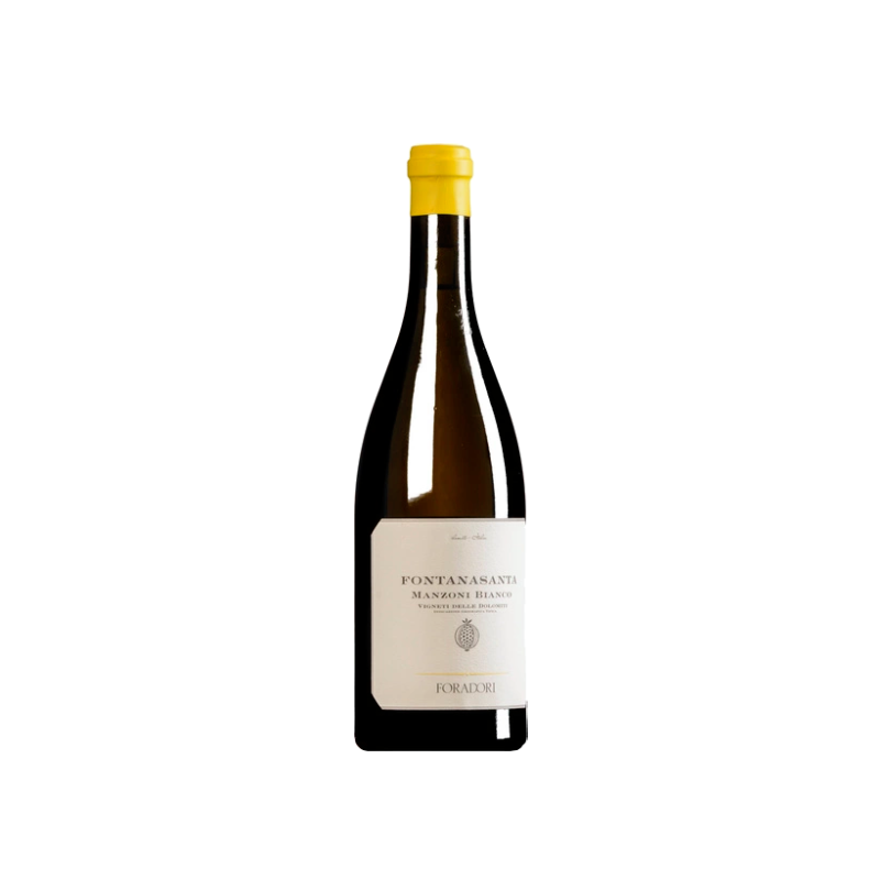 Foradori Fontanasanta Manzoni Bianco Magnum 2019