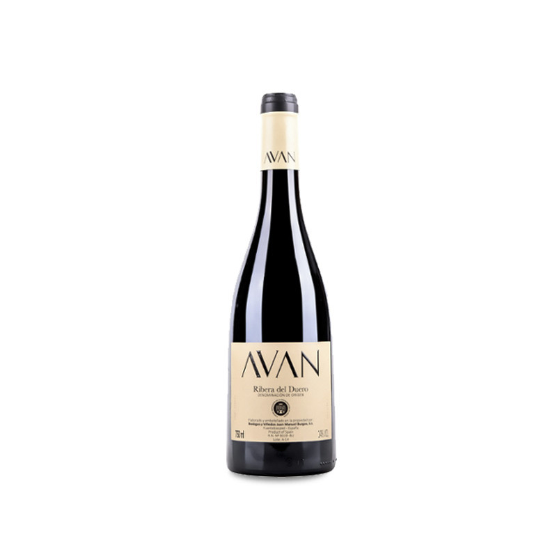 Juan Manuel Burgos Avan Tinto 2023
