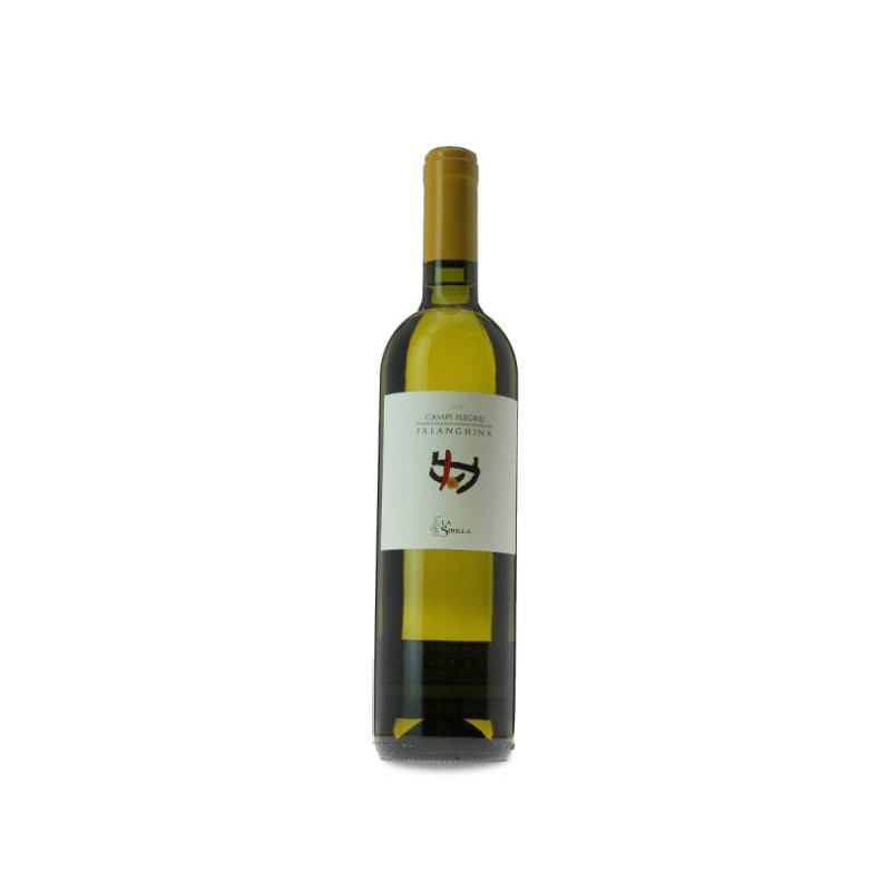 La Sibilla Campi Flegrei Falanghina 2024