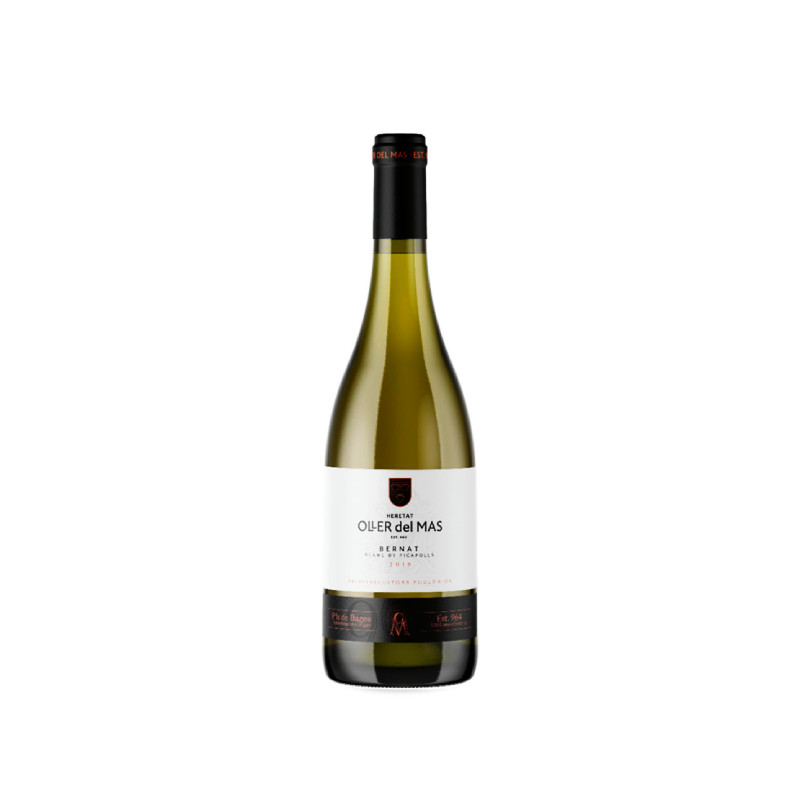 Bernat Oller Blanc de Picapolls 2024