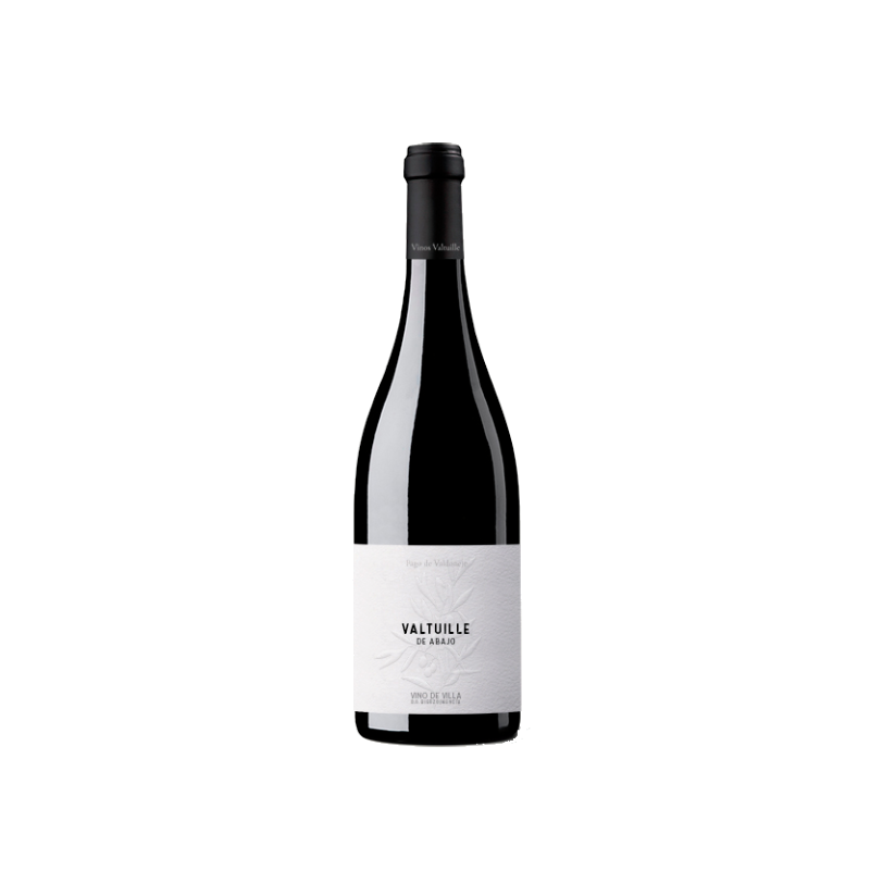 Valtuille de Abajo Vino de Villa 2022