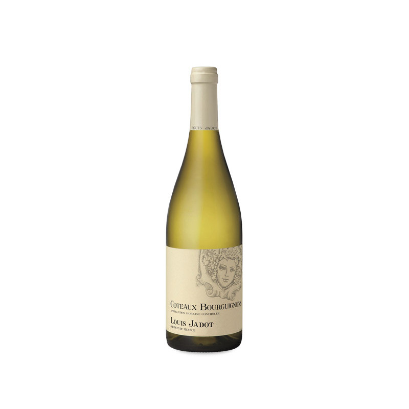 Louis Jadot Coteaux Bourguignons Blanc 2023
