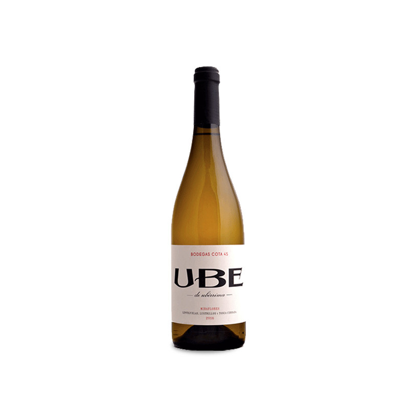 UBE Miraflores 2024
