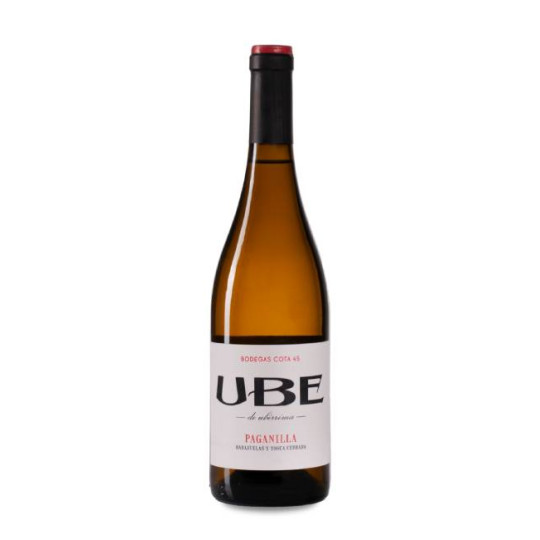 UBE De Uberrima Paganilla 2024