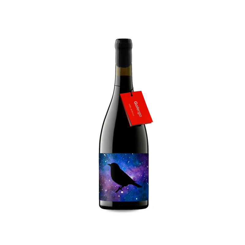 Viña Zorzal Golerga 2024