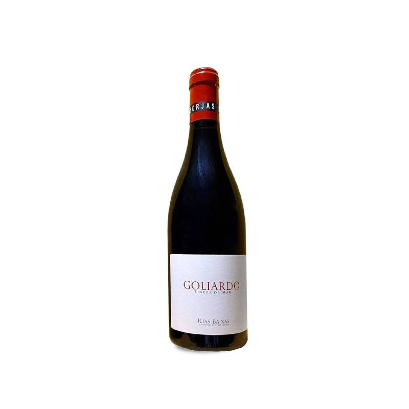 Forjas del Salnés Goliardo Tinto 2022