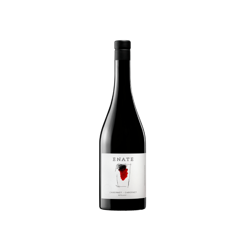 Enate Cabernet-Cabernet 2022