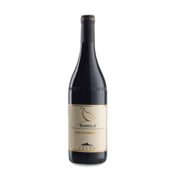 elvio-cogno-barolo-bricco-
