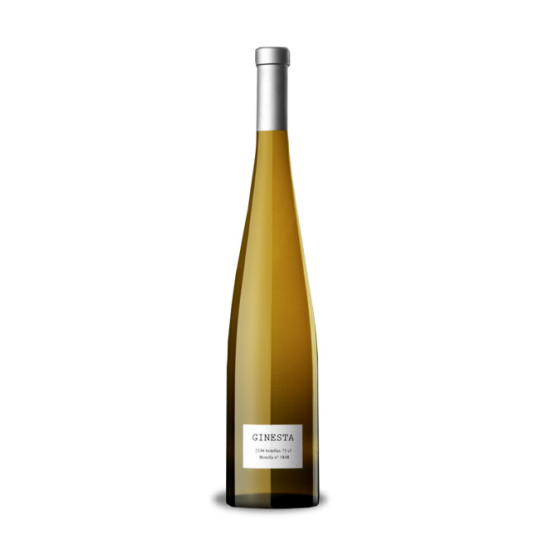 Parés Baltà Ginesta 2025