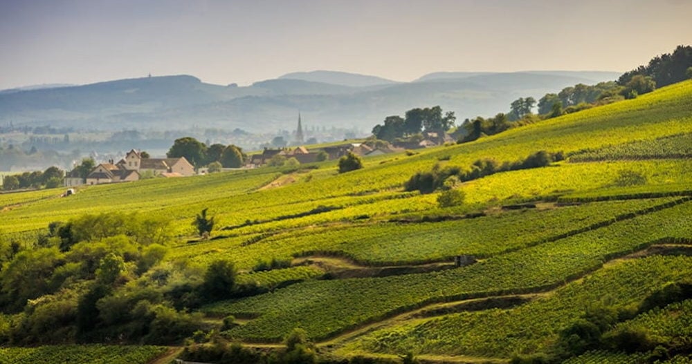 Bourgogne