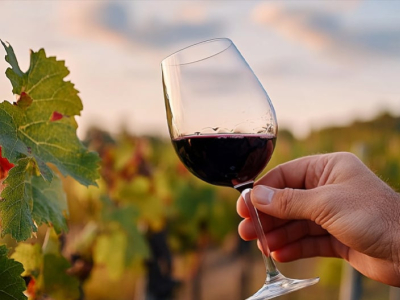 Vins sans sulfites : une tendance qui s'est installée pour durer 